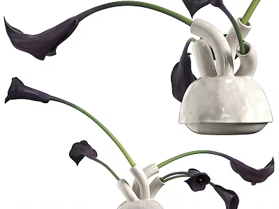 Modern Decorative Ornament Set With White Ceramic Vase And Black Calla Lilies 3d model