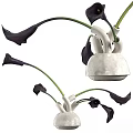 Modern Decorative Ornament Set With White Ceramic Vase And Black Calla Lilies