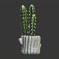 Green Spiky Cactus Plant In White Striped Textured Pot Against Dark Background