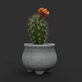 Cactus Bonsai Potted Plant with Orange Flower Gray Speckled Pot and Three Legged Base