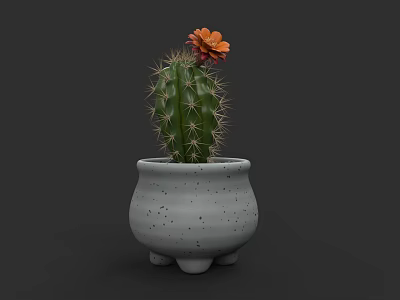 Cactus Bonsai Potted Plant with Orange Flower Gray Speckled Pot and Three Legged Base 3d model
