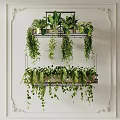 Lush Hanging Basket Plants With Trailing Green Vines For Indoor Wall Decoration