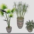 Indoor Palm Plants In Decorative Ceramic Pots With Lush Green Leaves