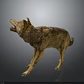 Wolf Model in Standing Pose With Open Mouth and Brown Yellow Fur on Dark Background