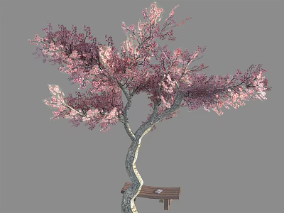 Pink Blossom Tree With Curved Trunk And Wooden Bench In Outdoor Setting 3d model