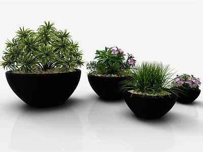 Stylish Bonsai Potted Plants with Green Leaves and Purple Flowers in Black Pots 3d model
