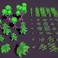 Various Green Plants Including Trees Shrubs And Ferns As 3D Models On Dark Background