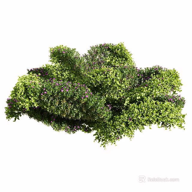 Lush Green Foliage With Tiny Purple Flowers In Natural Growth 3d model 