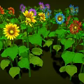 Vibrant Flower Plants With Colorful Blooms Including Yellow Purple Red And Green Leaves