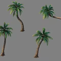 Multiple Palm Trees with Curved Trunks and Green Fronds Displayed on Gray Background 3d model