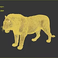 Brown Striped Tiger With Detailed Fur Standing On Dark Reflective Surface