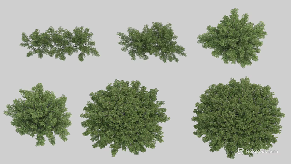 Various Green Bush Varieties Perfect for Outdoor Garden Decoration and Landscaping 3d model 