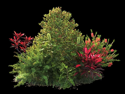 Lush Mixed Garden Shrubs With Green And Red Foliage For Landscaping 3d model