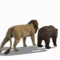 Modern Animal Groups Animals and 3d model