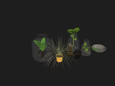 Various Potted Plants Including Different Containers Glass Pots and Ceramic Vases on Black Background 3d model