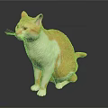 Orange and White Cat Sitting on Black Background with 3D Model Design