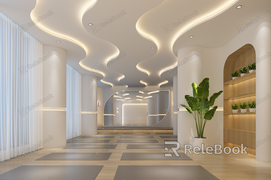 Modern Yoga Room Hall Greening model