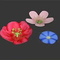 Modern Shop Front Desk Interior Featuring Red Pink Blue Decorative Flowers On Dark Background