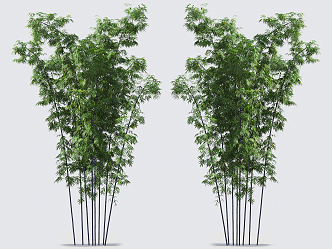 Modern bamboo 3d model