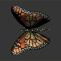 Modern Butterfly Colored Butterfly Tiger Spot Butterfly 3d model