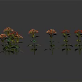 Colorful Flowers Red Yellow Purple Pink With Green Leaves In Wavy Pattern On Dark Background