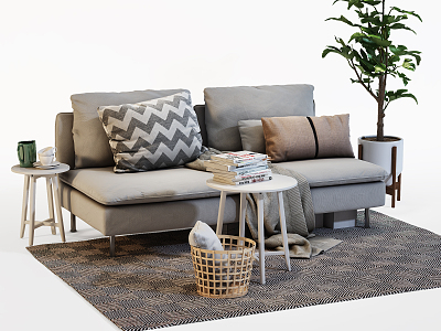 Nordic Double Sofa Coffee Table Combination model