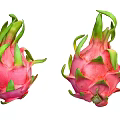 Two Ripe Pink Dragon Fruit With Green Leafy Crowns On White Background