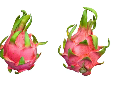 Two Ripe Pink Dragon Fruit With Green Leafy Crowns On White Background 3d model