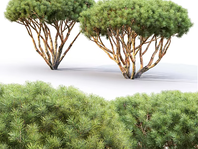 Lush Green Trees With Branching Trunks And Dense Green Foliage 3d model