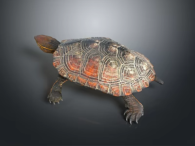 Vibrant Patterned Turtle With Brown Orange Shell And Textured Scaly Legs 3d model