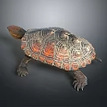 Vibrant Patterned Turtle With Brown Orange Shell And Textured Scaly Legs