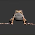 Spotted Brown And Purple Frog Standing On Black Background With Detailed Skin Texture