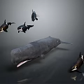Majestic Whale Swimming With Several Penguins In Underwater Ocean Scene 3d model