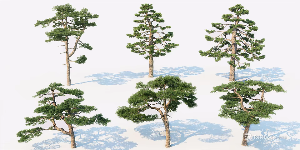 Different Types Of Arbor Trees With Varied Foliage Shapes And Shadow Effects 3d model 