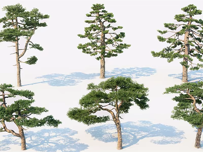 Different Types Of Arbor Trees With Varied Foliage Shapes And Shadow Effects 3d model