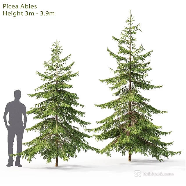 Decorative Ornament Set With Two Pine Trees And Human Figure For Home Decoration 3d model 