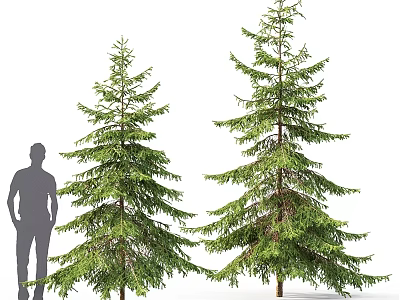 Decorative Ornament Set With Two Pine Trees And Human Figure For Home Decoration 3d model