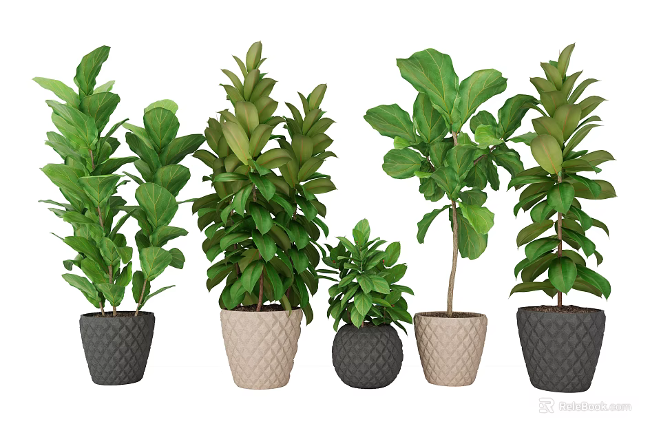 Lush Green Bonsai Potted Plants With Black And Beige Textured Pots 3d model 