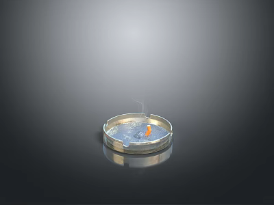 Burning Candle in Transparent Container with Liquid and Light Smoke for Home Decoration 3d model