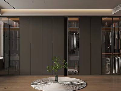Modern Walk-in Closet With Dark Cabinets Glass Doors Hanging Clothes Round Rug And Green Plant 3d model