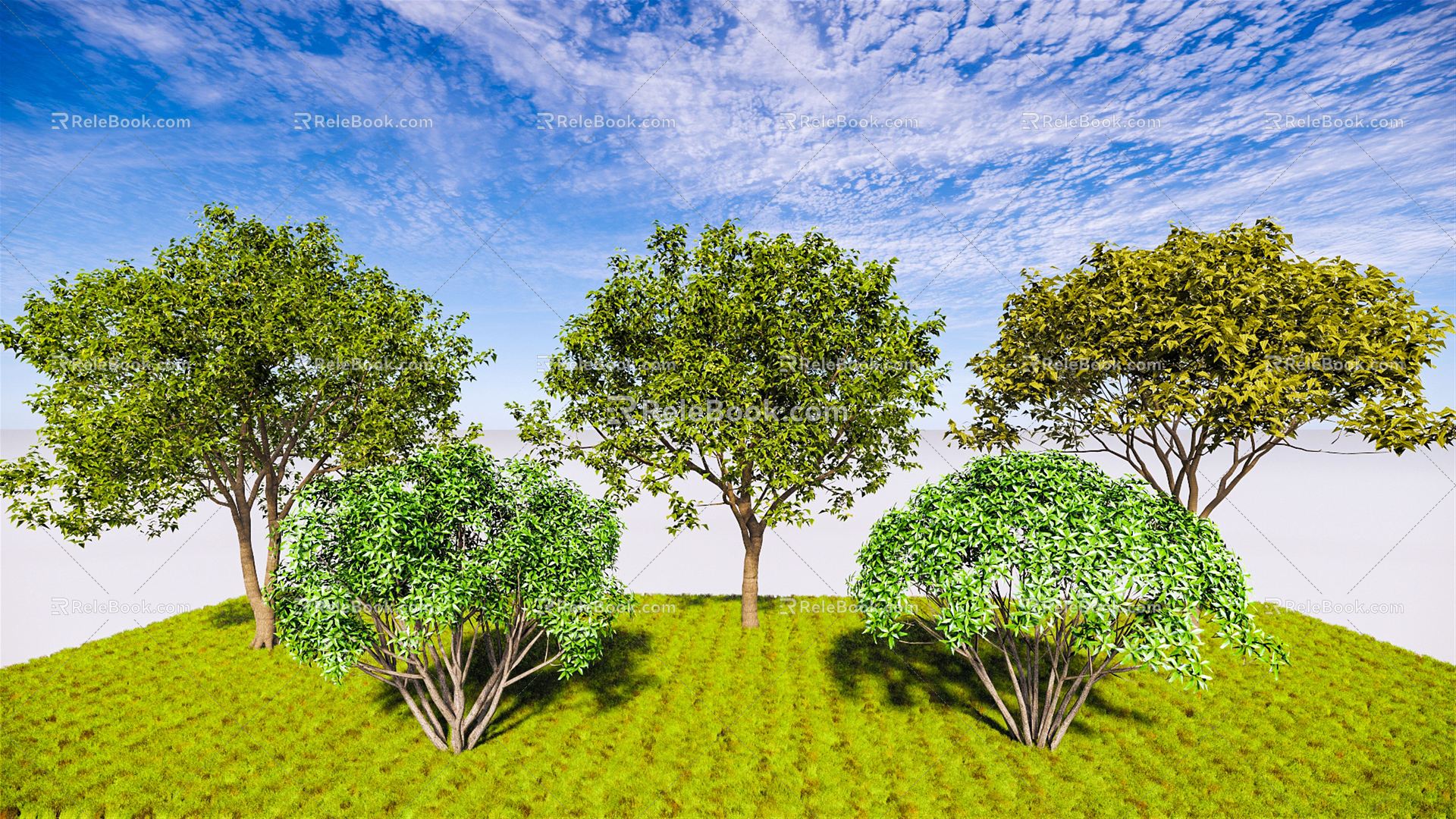 Modern Tree Single-Pole Osmanthus Blossoms and Cushes Osmanthus Four Seasons Osmanthus Cinnamon Cinnamon Cinnamon Landscape Evergreen Tree 3d model