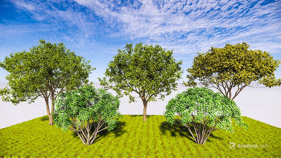 Lush Arbor Trees In Natural Landscape With Green Grass Blue Sky And Various Sizes Shapes 3d model 