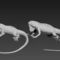 White Reptile Lizard in Standing Pose with Long Tail on Brown Background Detailed Model