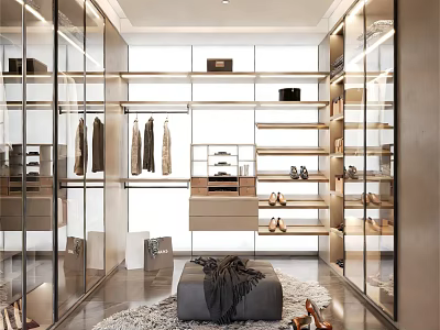 Modern Walk In Closet Interior With Glass Doors Clothes Storage And Shoes 3d model