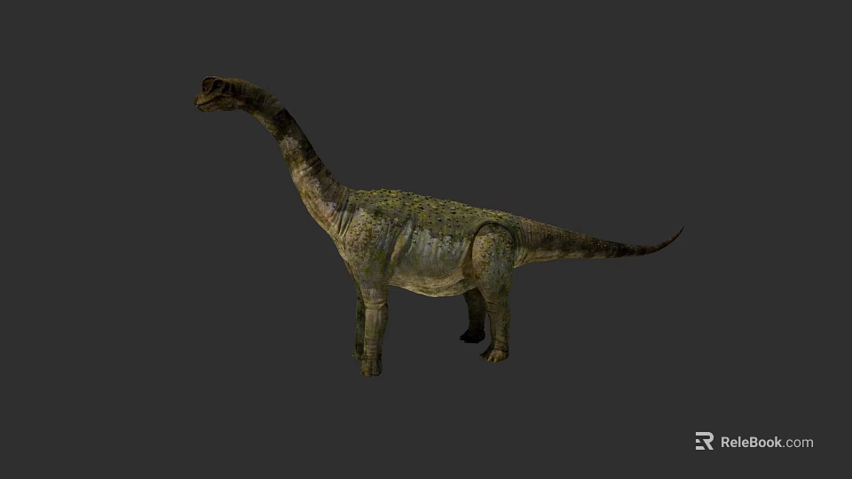 Realistic Long Neck Reptile With Scaly Skin And Long Tail In Standing Posture 3d model 