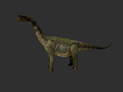 Realistic Long Neck Reptile With Scaly Skin And Long Tail In Standing Posture 3d model