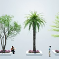Different Types of Arbor Trees in Outdoor Planters with People Nearby Urban Landscaping