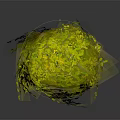 Spherical Green Leafy Plant in White Cylindrical Pot on Dark Background