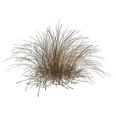 tree landscape tree shrub plant flowers and plants 3d model tree landscape tree shrub plant flowers and plants 3d model