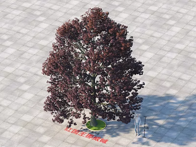 Arbor With Dark Purple Foliage Straight Trunk Green Base Gray Square Tiles Human Silhouette Scale 3d model